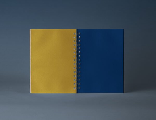 Orion - Notebook - Image 8