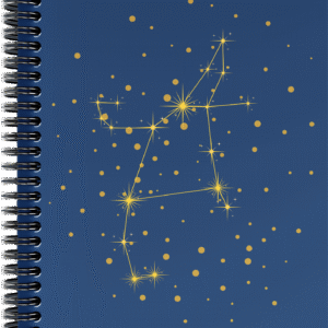 Perseus - Notebook